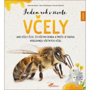 Szv Jeden rok v živote včely - Ako včely žijú, čo všetko robia a prečo je matka kráľovnou všetkých včiel