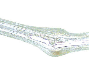 Apiprodukt Výchytka na značenie matiek v tvare fajky, sklenená