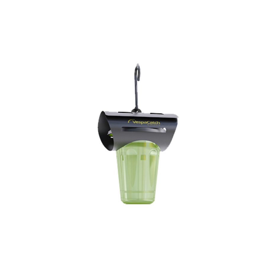 MEDÁREŇ VespaCatch pasca na sršne